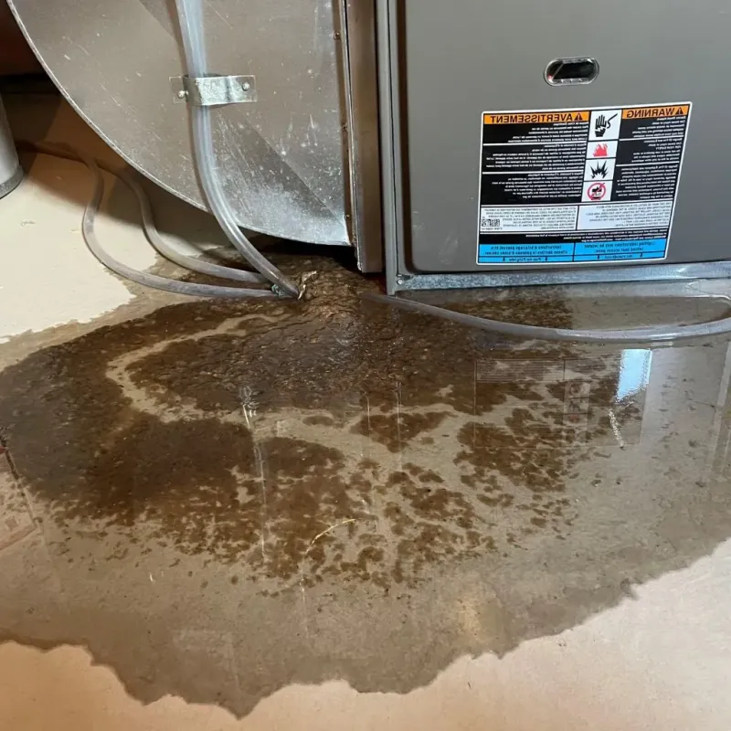 Pipe Burst and Leak Restoration in Cumberland County, PA