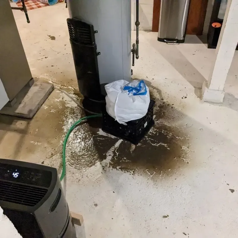 Sewage Backup Cleanup Service in Cumberland County, PA